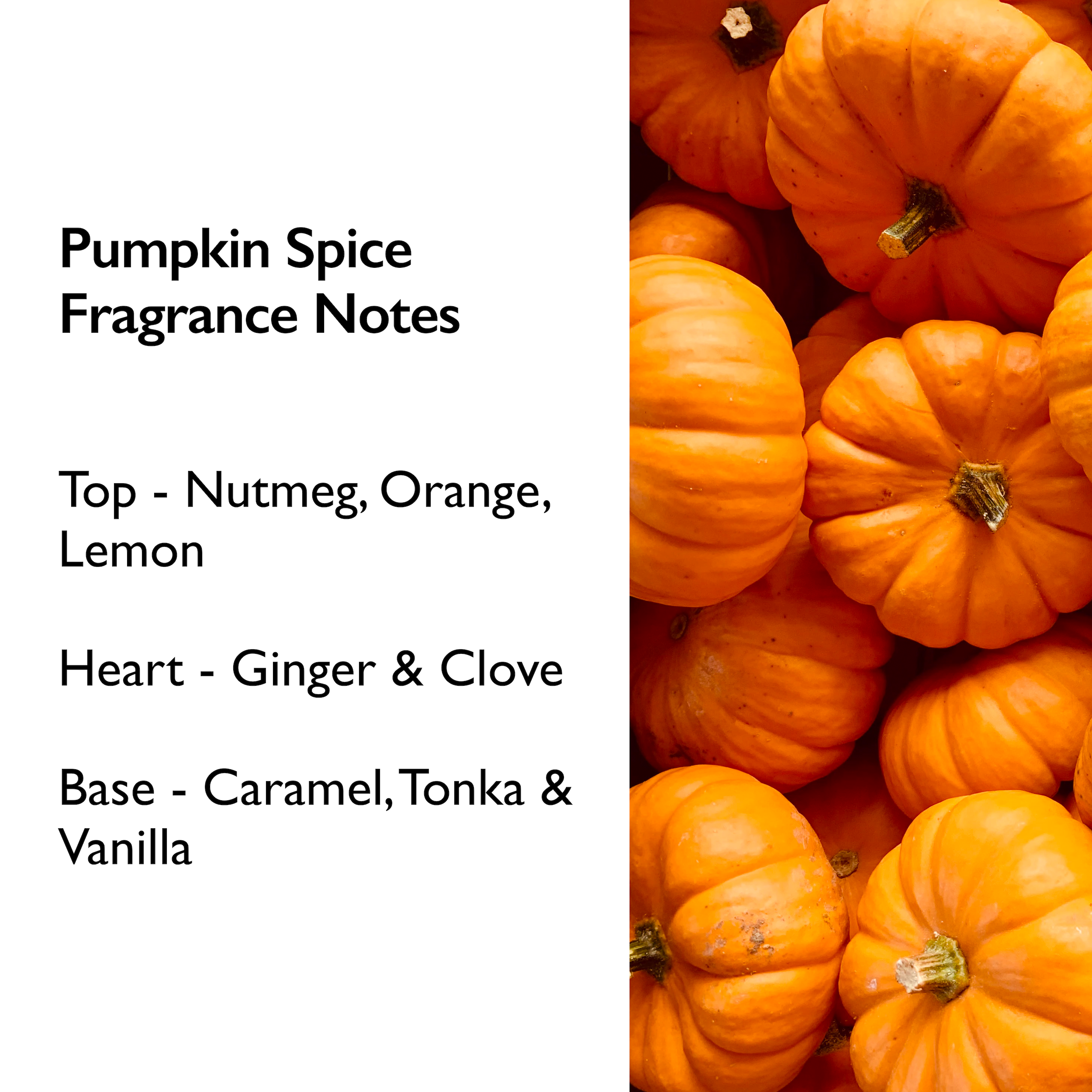 Pumpkin Spice Tin Candle